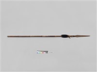 藏品(槍)的圖片